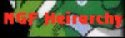 NGF Heirachy
